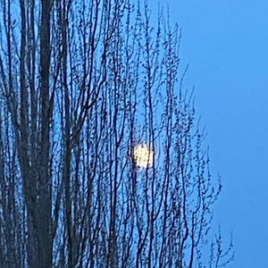 Meet your Posher, Lawrence